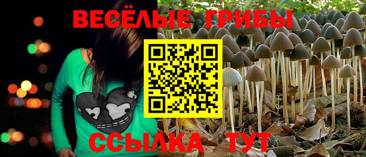Псилоцибиновые грибы мицелий  Вход с VPN  Кострома  Галлюциногенные грибы Cubensis 