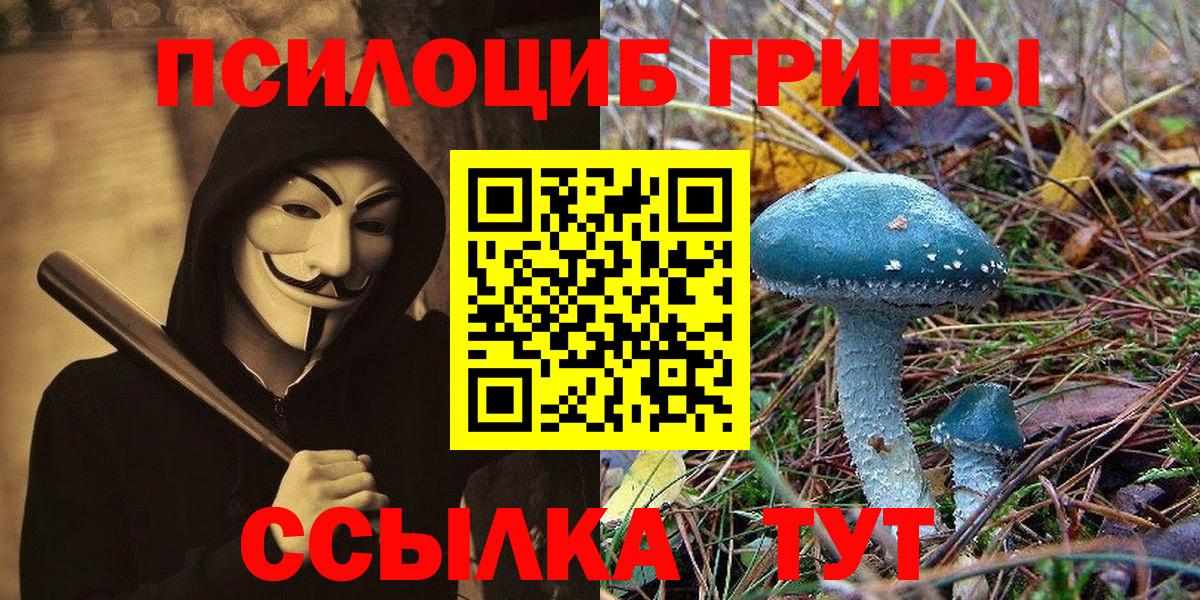 Галлюциногенные грибы Magic Shrooms Кострома